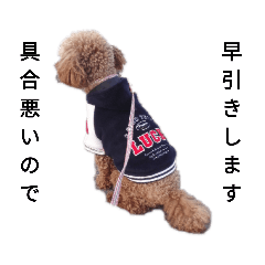 [LINEスタンプ] コタローの4