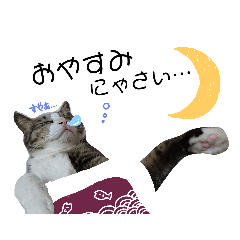 [LINEスタンプ] 和菓子ねこちゃんズ 