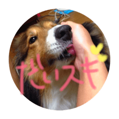 [LINEスタンプ] 愛犬らっきー 