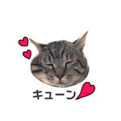 [LINEスタンプ] おまめ’sすたんぷ 
