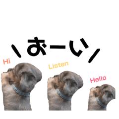 [LINEスタンプ] ルイすた
