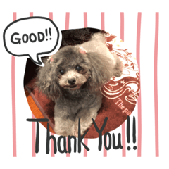 [LINEスタンプ] ゆっことそらお 