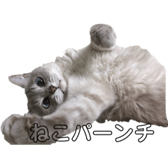 [LINEスタンプ] みゅうたん 
