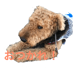 [LINEスタンプ] エアデールテリア   パート1 