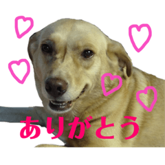 [LINEスタンプ] ムーちゃんスタンプ♡