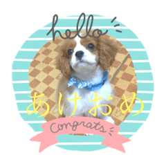 [LINEスタンプ] 可愛いルーナくんのスタンプ fetchpriority=high