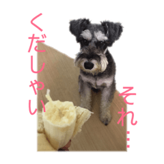 [LINEスタンプ] ミニシュナ★ルーク fetchpriority=high