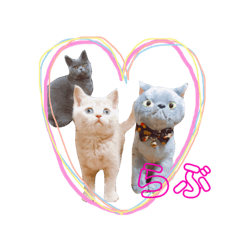[LINEスタンプ] ブリティッシュ〜やさぐれ猫とおてんば猫 