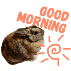 [LINEスタンプ] まろりんスタンプ
