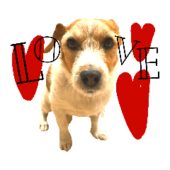 [LINEスタンプ] ランディといっしょ。 