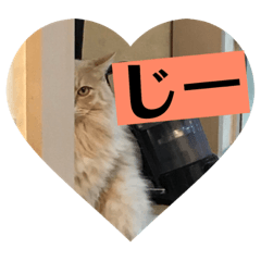[LINEスタンプ] チョッパーと仲良し仲間たち