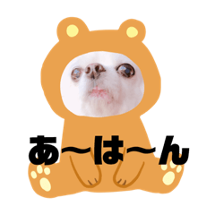 [LINEスタンプ] まめちゃんスタンプ①
