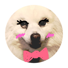 [LINEスタンプ] pin-ji5