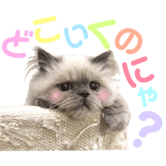 [LINEスタンプ] もちもちfamilyの日常スタンプ