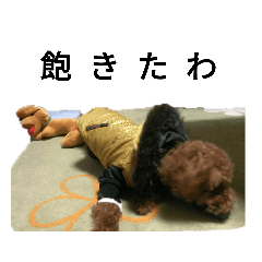 [LINEスタンプ] コタローの3