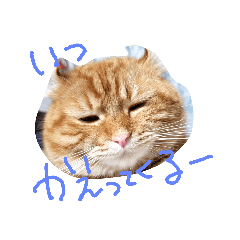 [LINEスタンプ] チャコ＆ラム
