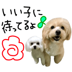 [LINEスタンプ] めるここ