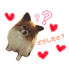 [LINEスタンプ] ティティちゃん 2
