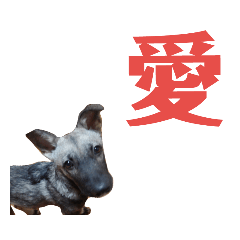 [LINEスタンプ] 犬なのにウルフ2   夫婦向け