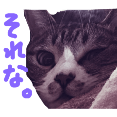 [LINEスタンプ] ふうちゃんスタンプ 4