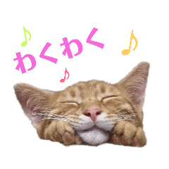 [LINEスタンプ] 使いやすい♪にゃんこがお返事！ 