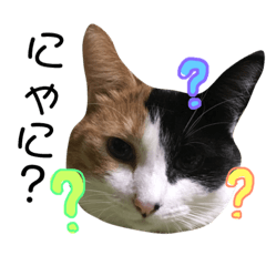 [LINEスタンプ] 永田にゃんこ 