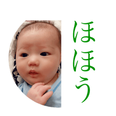[LINEスタンプ] ちゃまちゃまたい 