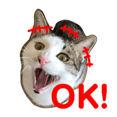 [LINEスタンプ] うちのこてつ君 