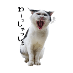 [LINEスタンプ] まもると愉快な仲間達