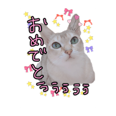 [LINEスタンプ] シンガプーラ2