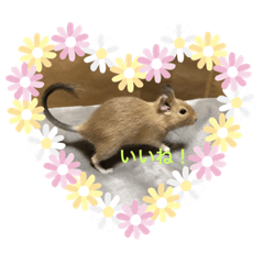 [LINEスタンプ] デグーの「ちくわ」
