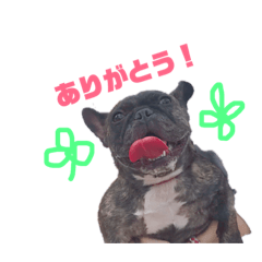 [LINEスタンプ] フレブル❤︎時々にんげん