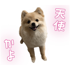 [LINEスタンプ] りぼんちゃん挨拶①
