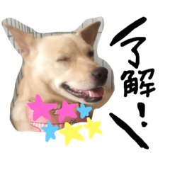 [LINEスタンプ] きららのひと言