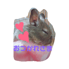 [LINEスタンプ] デグーのグゥちゃん☆