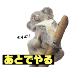 [LINEスタンプ] 雑なコアラ