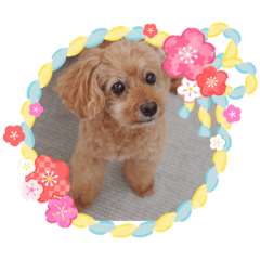 [LINEスタンプ] mocha stickers