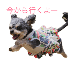 [LINEスタンプ] 小梅ちゃんだ