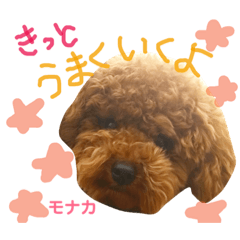 [LINEスタンプ] トイプー 兄妹★おはモナ