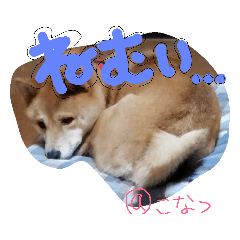 [LINEスタンプ] 小夏的すたんぷ。