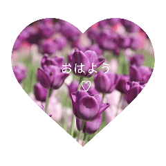 [LINEスタンプ] 一言花