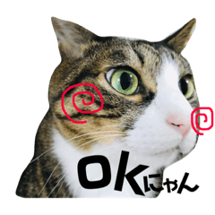 [LINEスタンプ] Punk＆Rock 猫 スタンプ① 