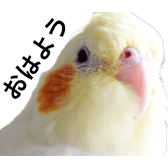 [LINEスタンプ] もんすも 