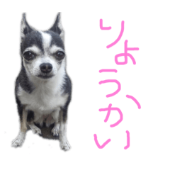 [LINEスタンプ] 小雪とおはぎ 