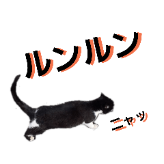 [LINEスタンプ] クロシロ4 