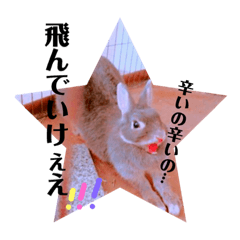 [LINEスタンプ] うさぎのぐうちゃん