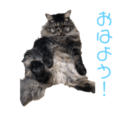 [LINEスタンプ] ガルの日常 