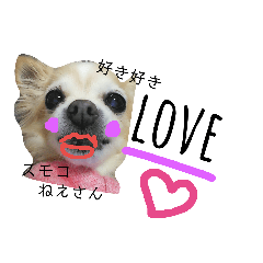 [LINEスタンプ] チワワのスモコねえさん2
