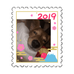 [LINEスタンプ] 谷山ショコラの日常(1) 