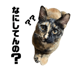 [LINEスタンプ] 愛猫スタンプ(バステト) 